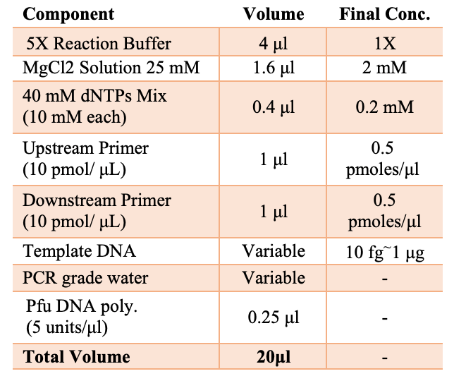 Pfu DNA polymerase kit | کیت پی اف یو دی ان ای پلیمراز