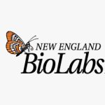 آنزیم BfuAI | کمپانی NEB