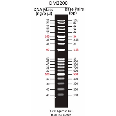 1Kb DNA ladder