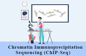 تعیین توالی ایمونوپرسیپیتیشن کروماتین | (Chromatin Immunoprecipitation Sequencing (ChIP