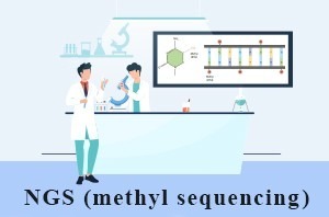 توالی یابی ان جی اس متیلاسیون | NGS Methylation Sequencing