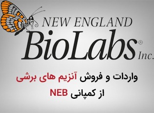 بنر آنزیم های برشی کمپانی Neb