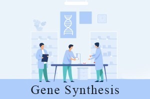 سنتز ژن سنتز ژن | Gene Synthesis