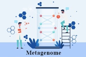 متاژنوم | Metagenome