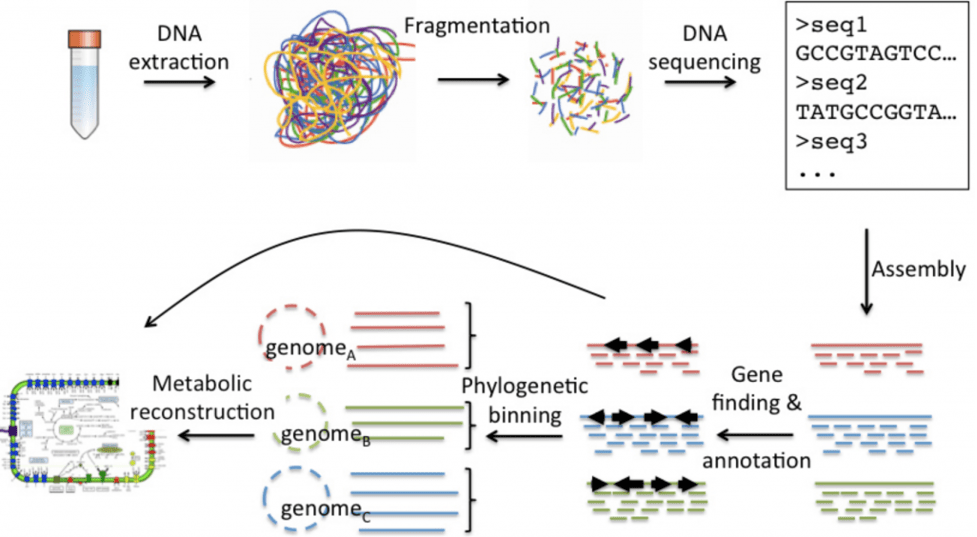 توالی یابی کامل متاژنوم | Metagenome Sequencing