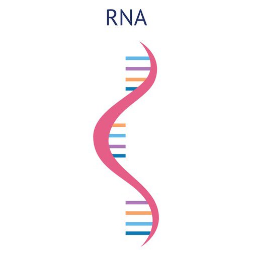 Total RNA-Sequencing