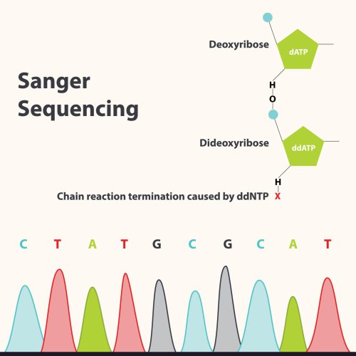 توالی یابی سنگر | Sanger Sequencing