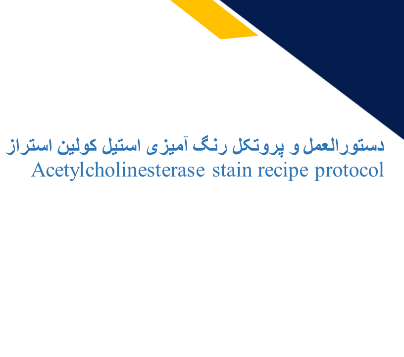Acetylcholinesterase stain recipe protocol