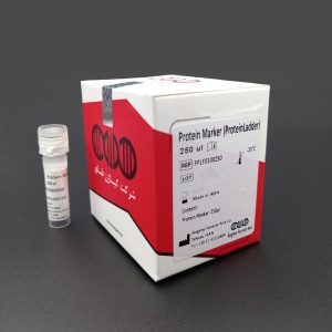 نشانگر- لدر- پروتئین|Protein Marker-ladder