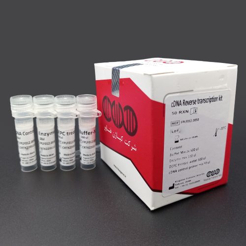 کیت سنتز cDNA Reverse transcription kit | cDNA