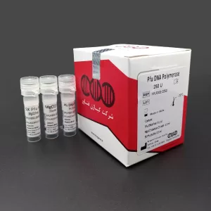 Pfu DNA polymerase kit | کیت پی اف یو دی ان ای پلیمراز