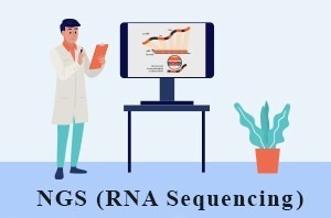 توالی یابی ان جی اس آر ان ای | NGS RNA Sequencing