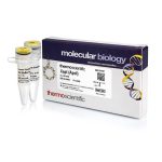 آنزیم XapI (ApoI) (10 U/µL) | کمپانی Thermo Fisher Scientific