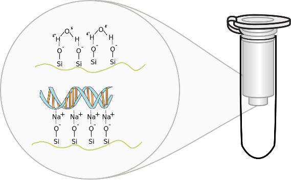 کیت های آزمایشگاهی