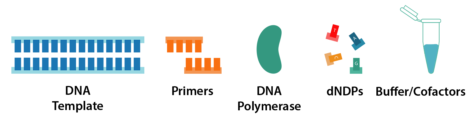 کیت های آزمایشگاهی 