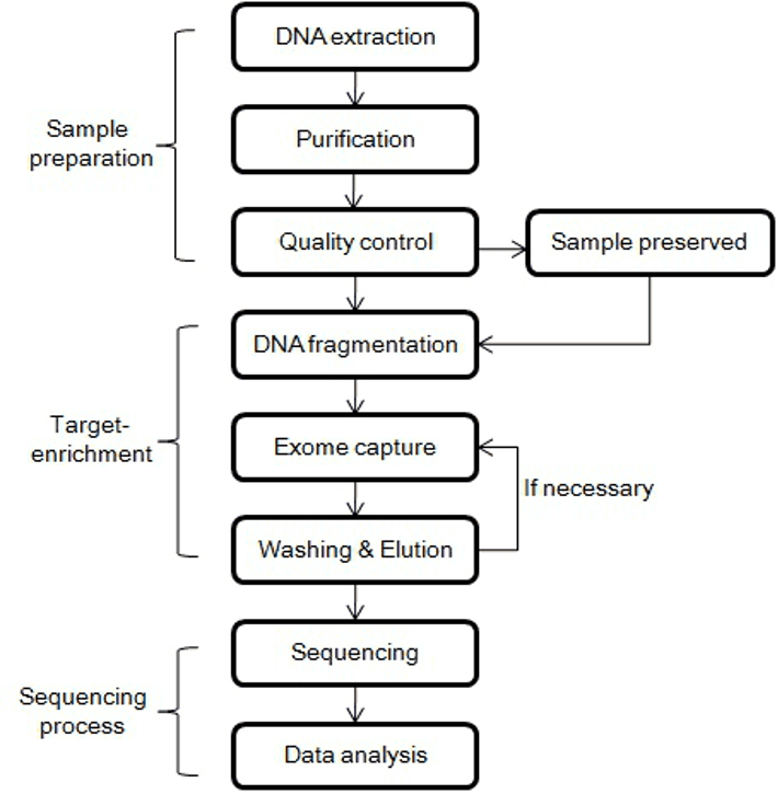 whole Exome Sequencing