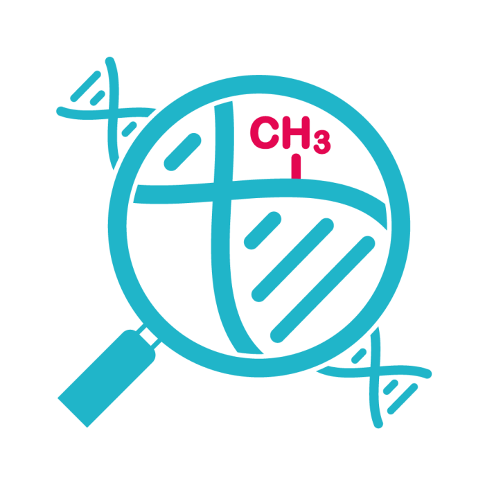 Methylation Sequencing