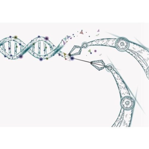 gene synthesis