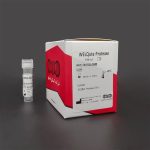 WELQut Protease | ول کیوت پروتئاز