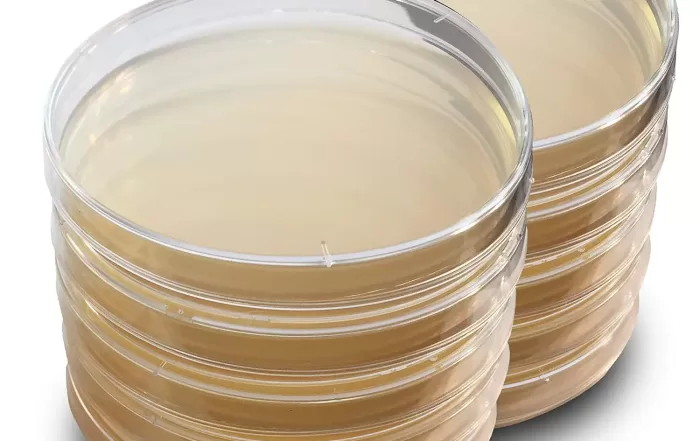 پروتکل و دستورالعمل تهیه محیط LB آگار | LB agar Recipe protocol