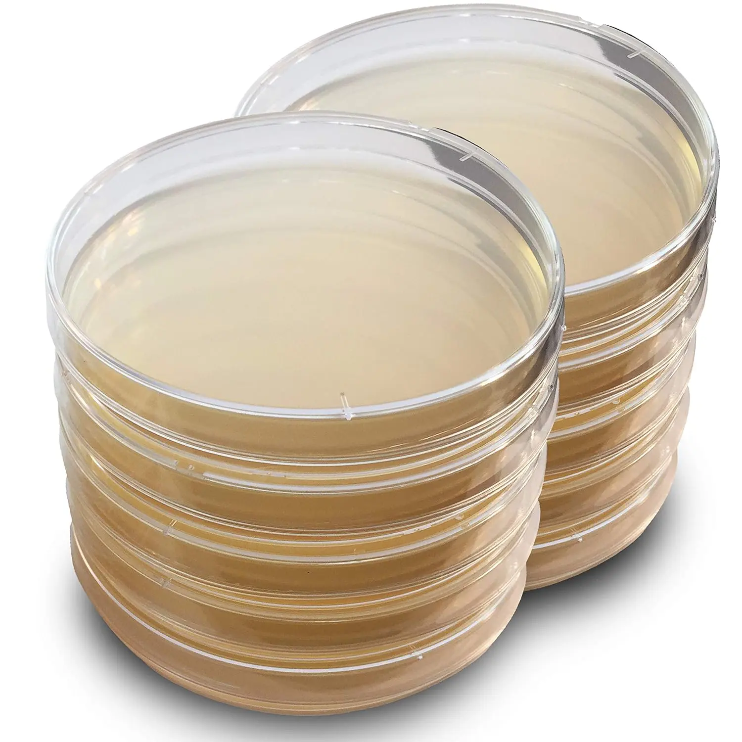 پروتکل و دستورالعمل تهیه محیط LB آگار | LB agar Recipe protocol