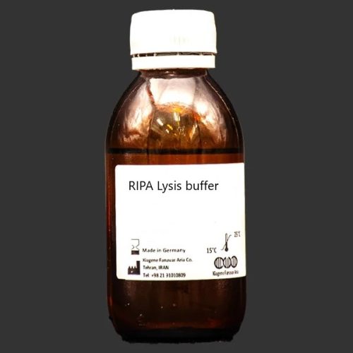 بافر لیز کننده ریپا | RIPA Lysis buffer